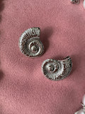 Shell Earrings - Silver