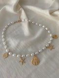 Pearl Seashell Necklace - Gold